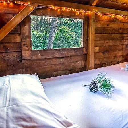 Drolma Ling Nature Cabins Theológos 외부 사진