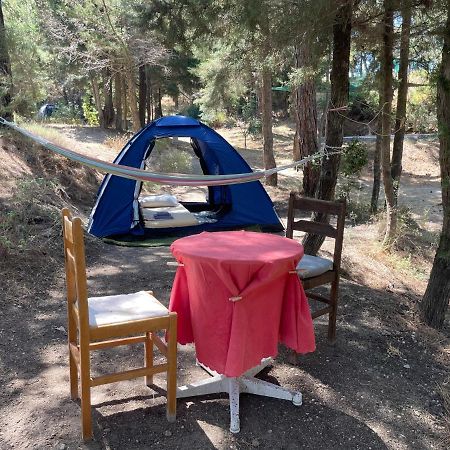 Drolma Ling Nature Cabins Theológos 외부 사진