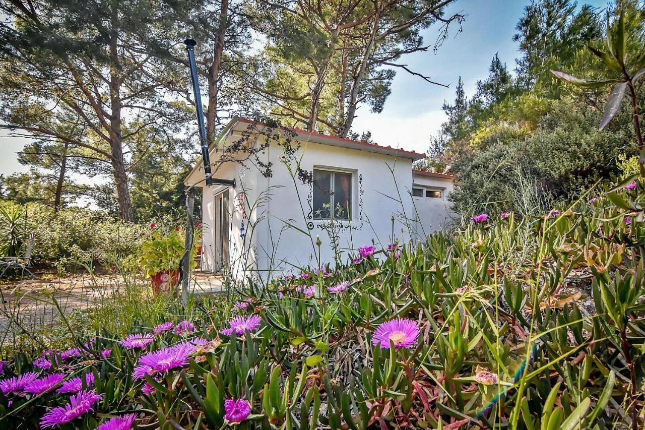 Drolma Ling Nature Cabins Theológos 외부 사진