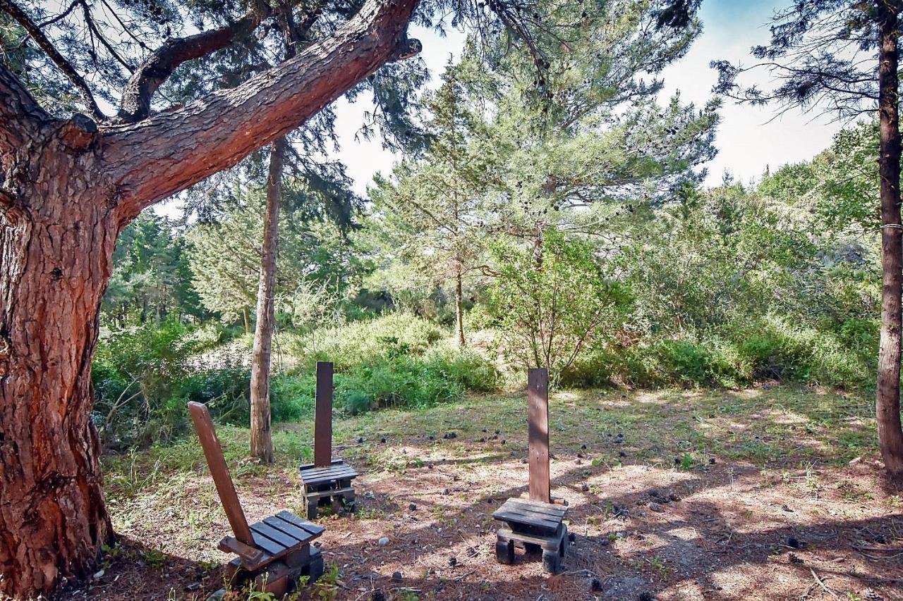 Drolma Ling Nature Cabins Theológos 외부 사진