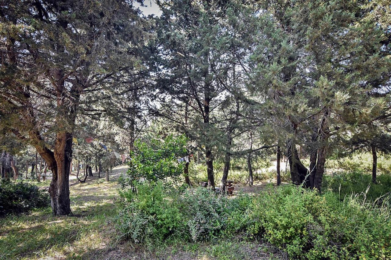 Drolma Ling Nature Cabins Theológos 외부 사진