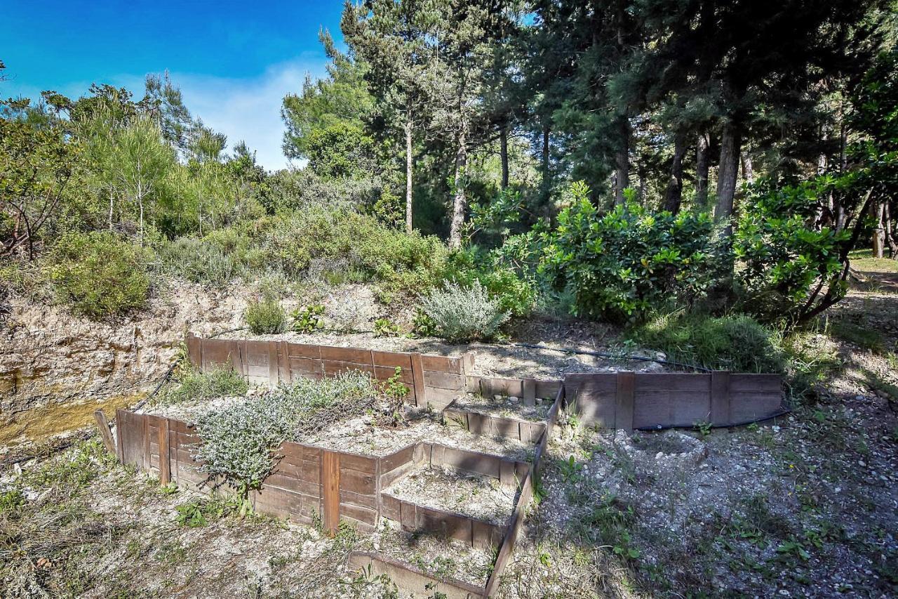 Drolma Ling Nature Cabins Theológos 외부 사진