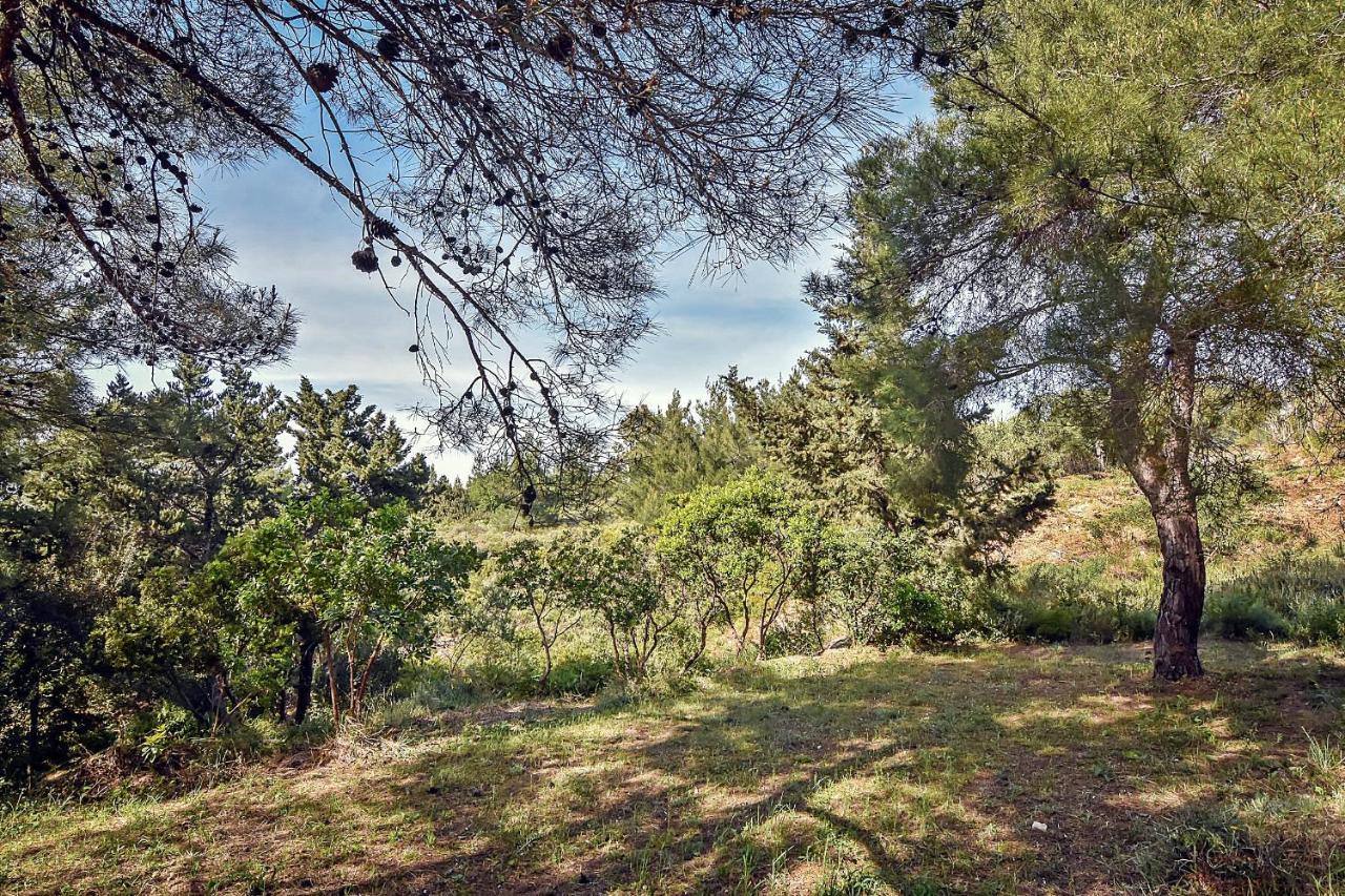 Drolma Ling Nature Cabins Theológos 외부 사진
