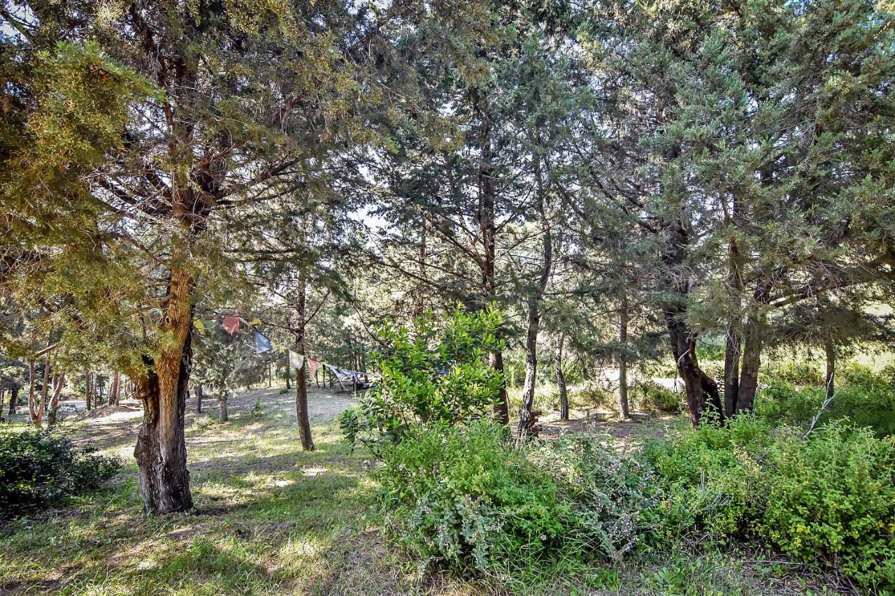 Drolma Ling Nature Cabins Theológos 외부 사진