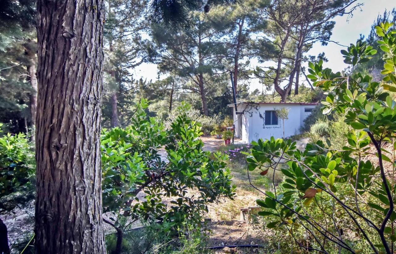 Drolma Ling Nature Cabins Theológos 외부 사진
