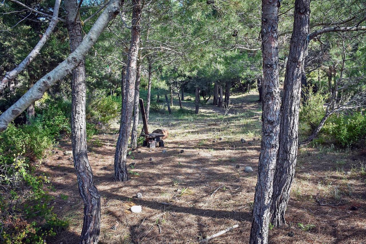 Drolma Ling Nature Cabins Theológos 외부 사진