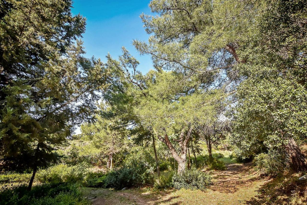 Drolma Ling Nature Cabins Theológos 외부 사진