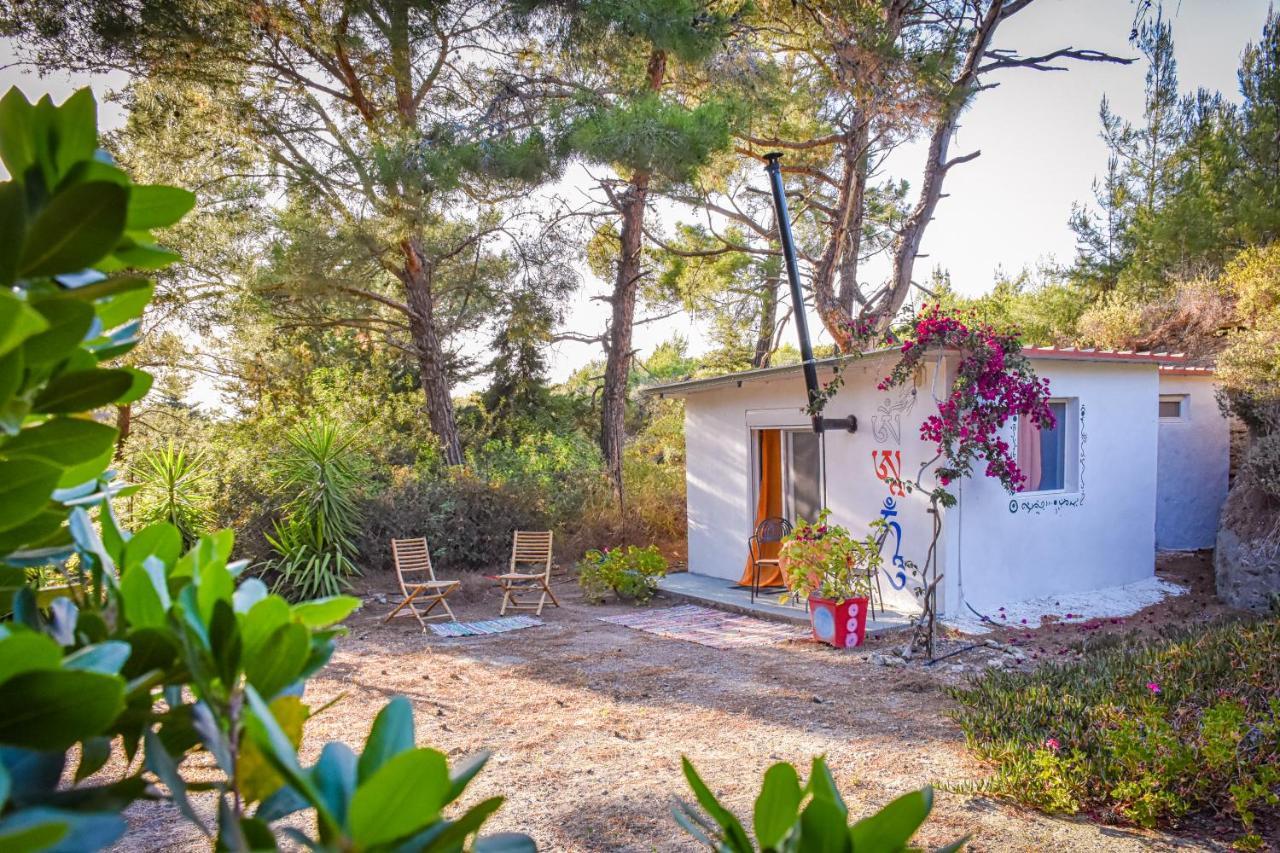 Drolma Ling Nature Cabins Theológos 외부 사진