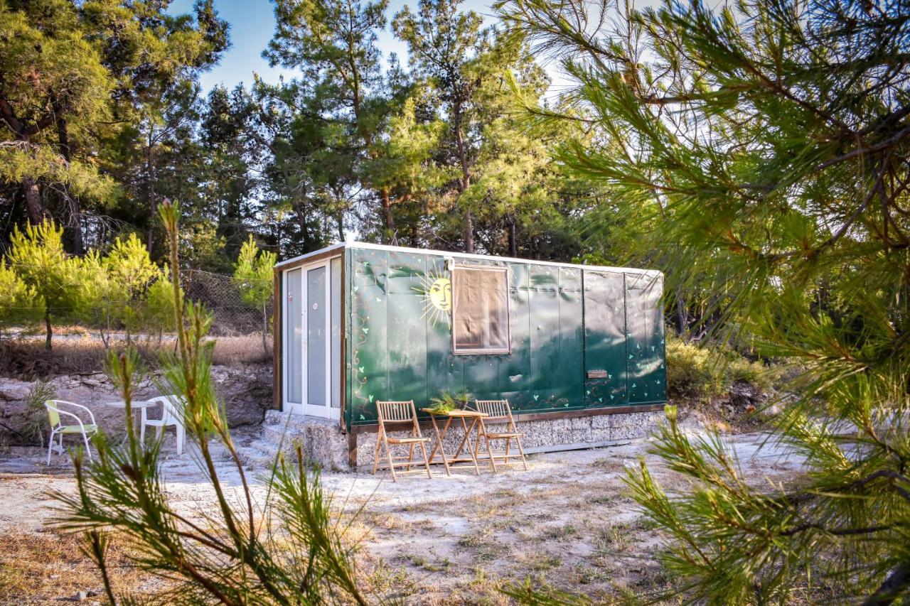 Drolma Ling Nature Cabins Theológos 외부 사진