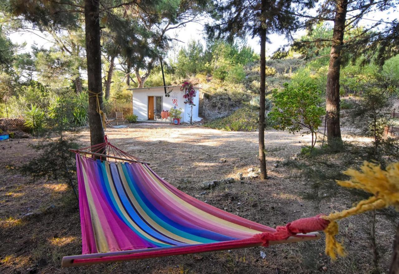 Drolma Ling Nature Cabins Theológos 외부 사진