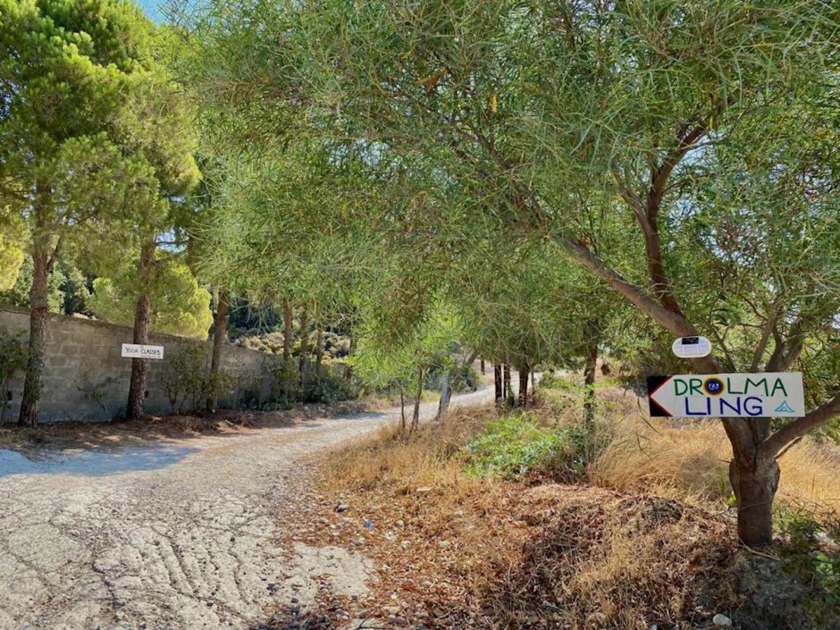 Drolma Ling Nature Cabins Theológos 외부 사진