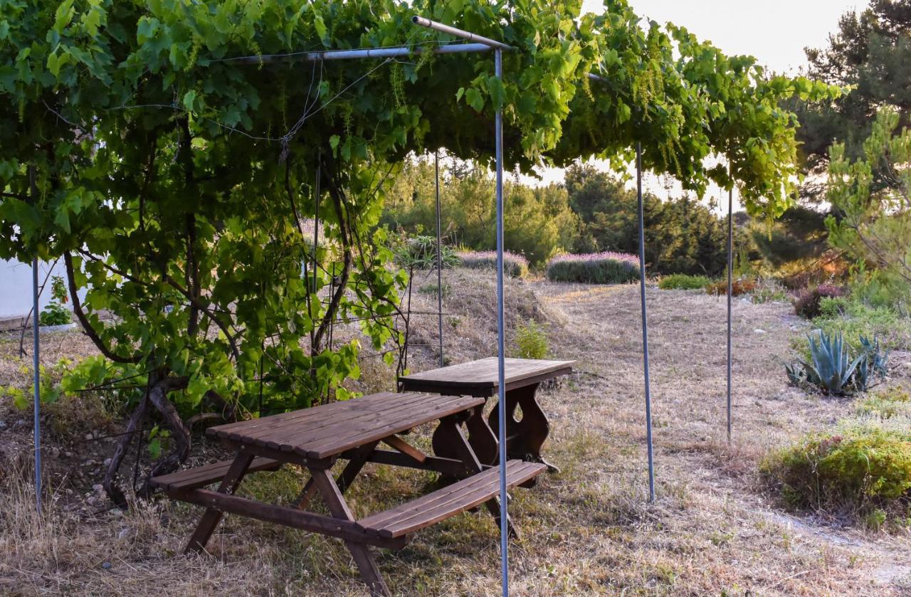 Drolma Ling Nature Cabins Theológos 외부 사진