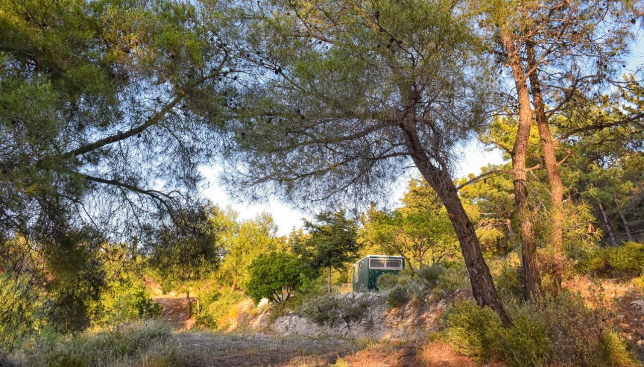 Drolma Ling Nature Cabins Theológos 외부 사진