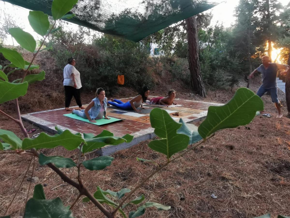 Drolma Ling Nature Cabins Theológos 외부 사진