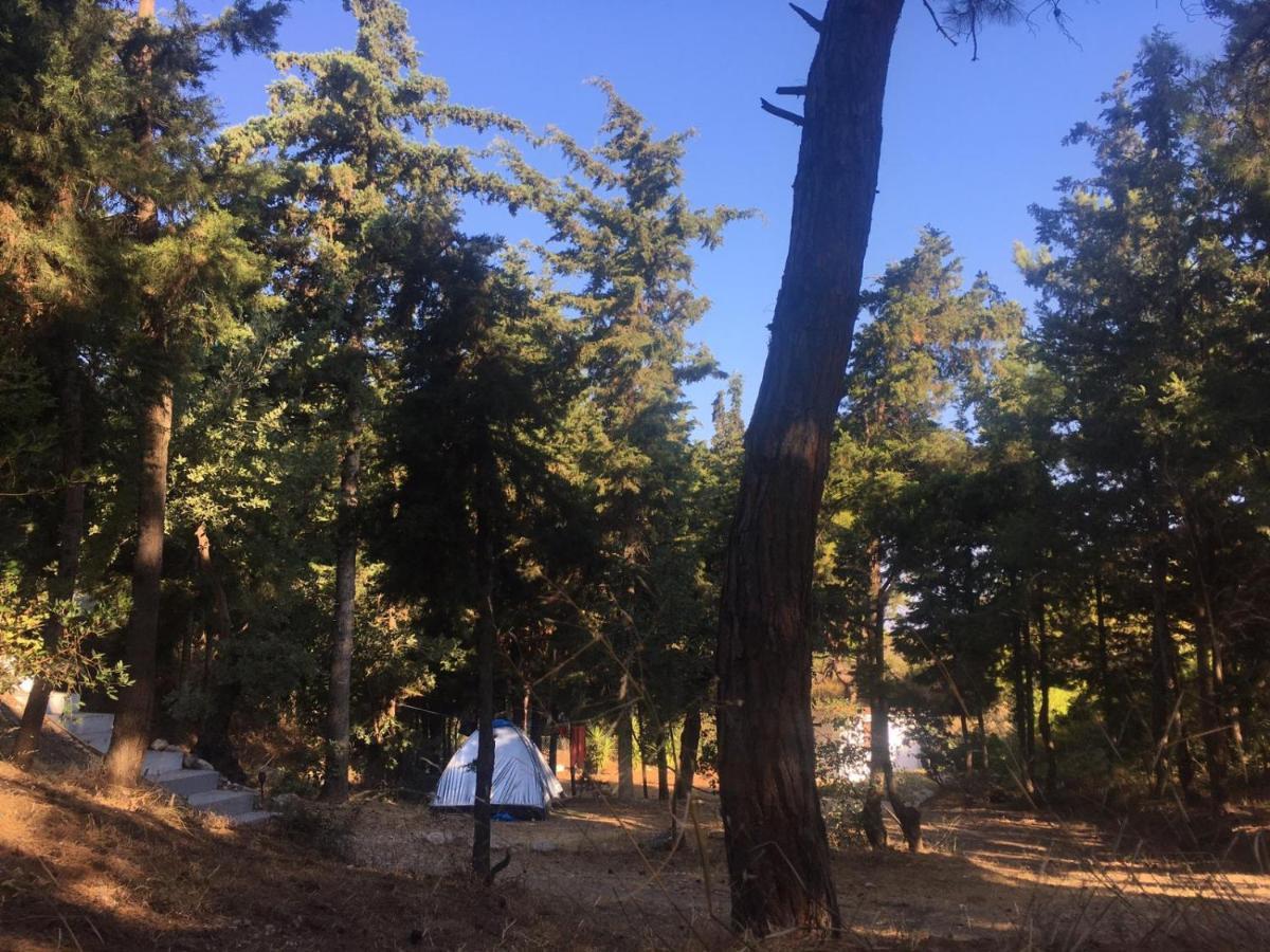 Drolma Ling Nature Cabins Theológos 외부 사진