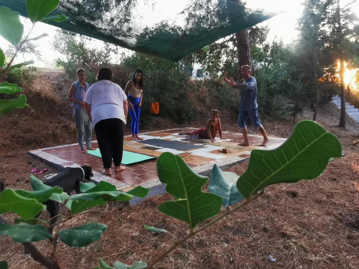 Drolma Ling Nature Cabins Theológos 외부 사진
