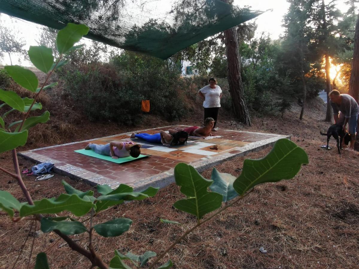 Drolma Ling Nature Cabins Theológos 외부 사진