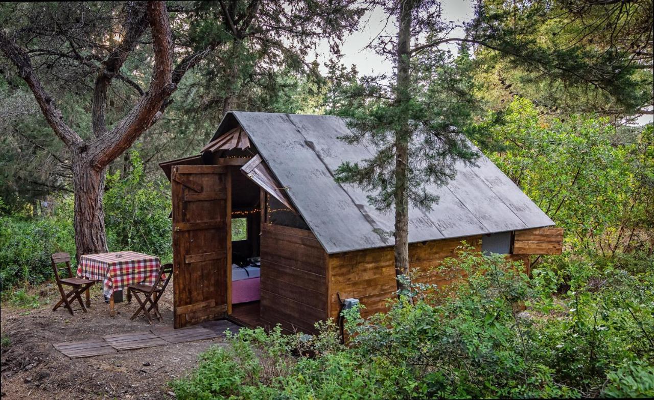 Drolma Ling Nature Cabins Theológos 외부 사진