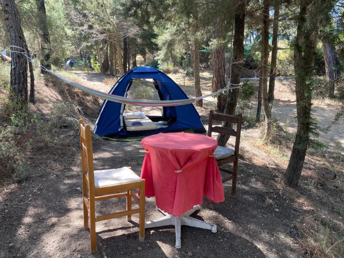 Drolma Ling Nature Cabins Theológos 외부 사진