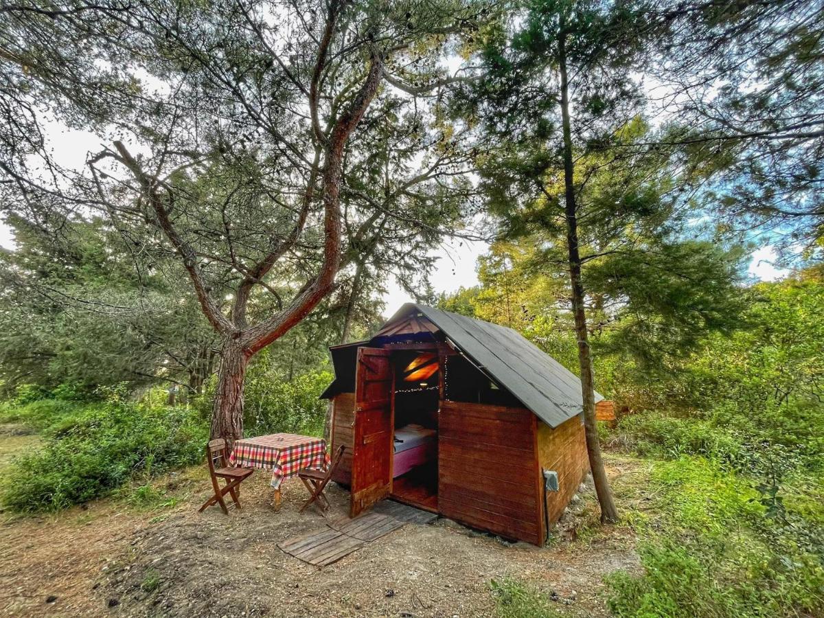 Drolma Ling Nature Cabins Theológos 외부 사진