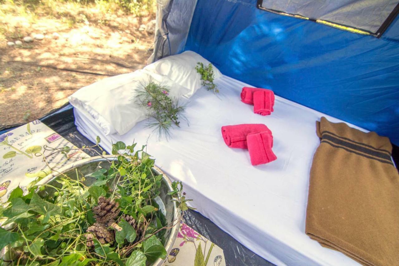 Drolma Ling Nature Cabins Theológos 외부 사진