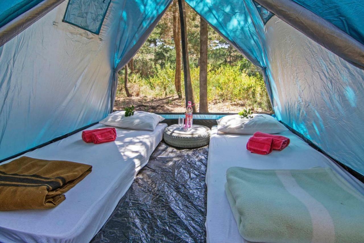 Drolma Ling Nature Cabins Theológos 외부 사진