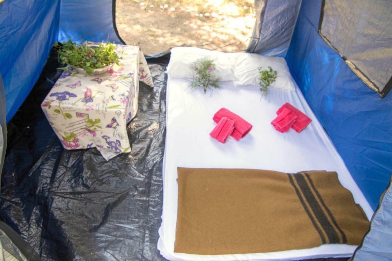 Drolma Ling Nature Cabins Theológos 외부 사진