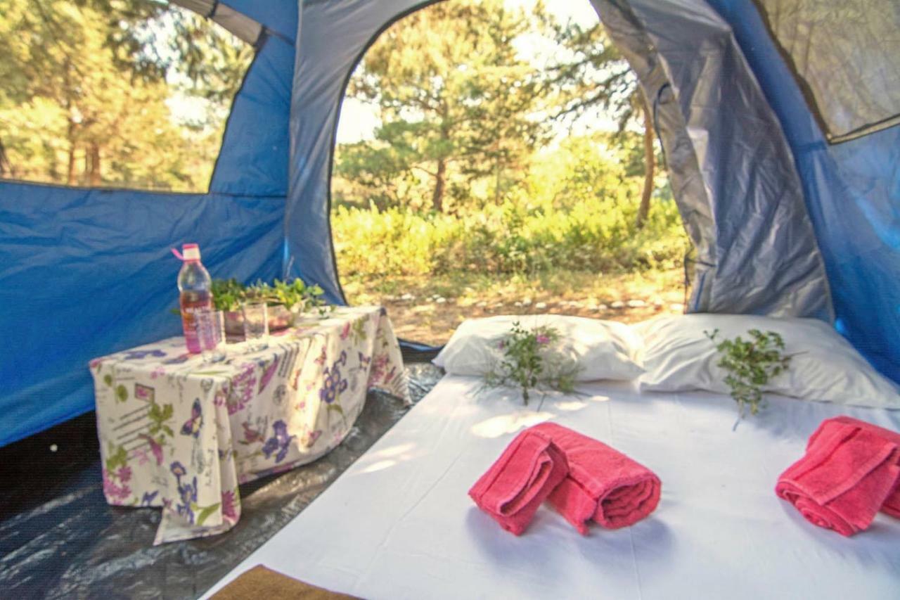 Drolma Ling Nature Cabins Theológos 외부 사진