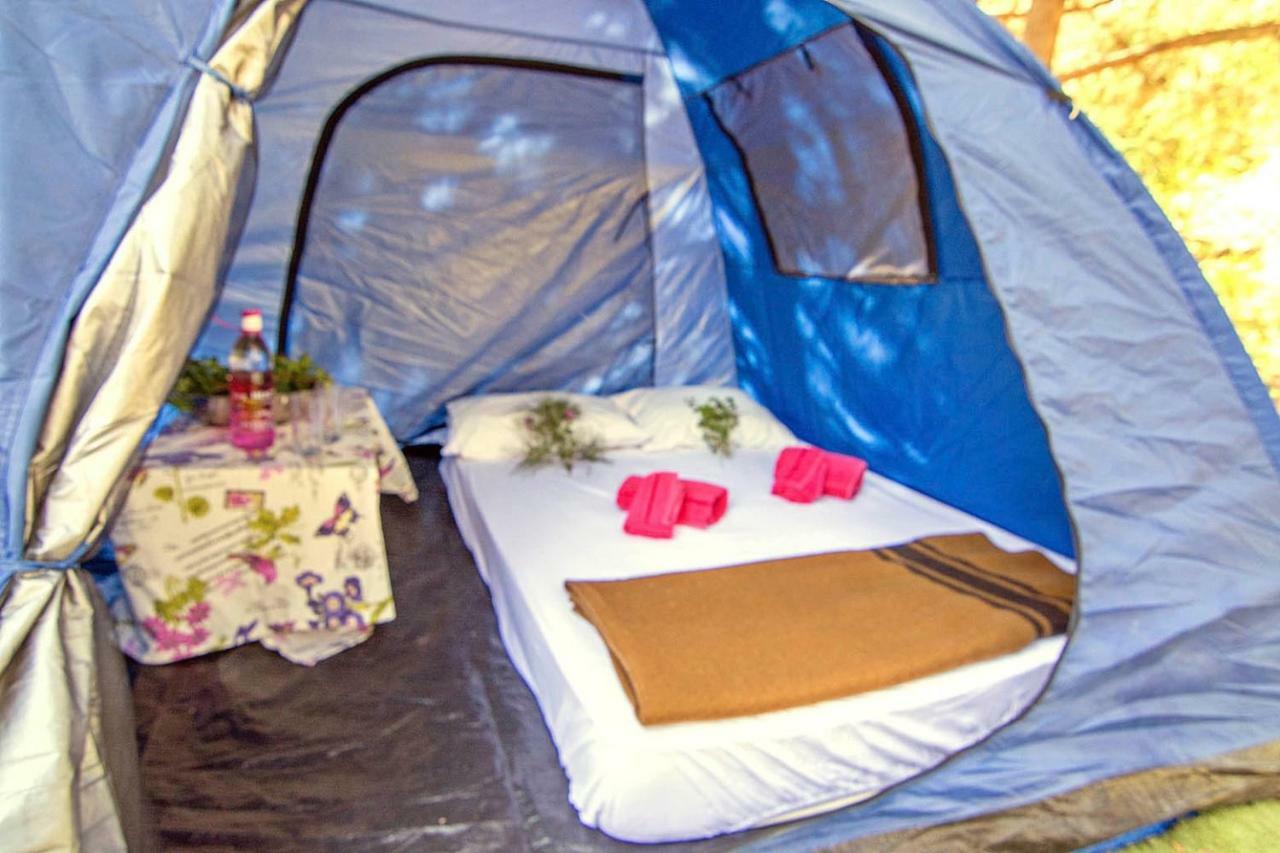 Drolma Ling Nature Cabins Theológos 외부 사진