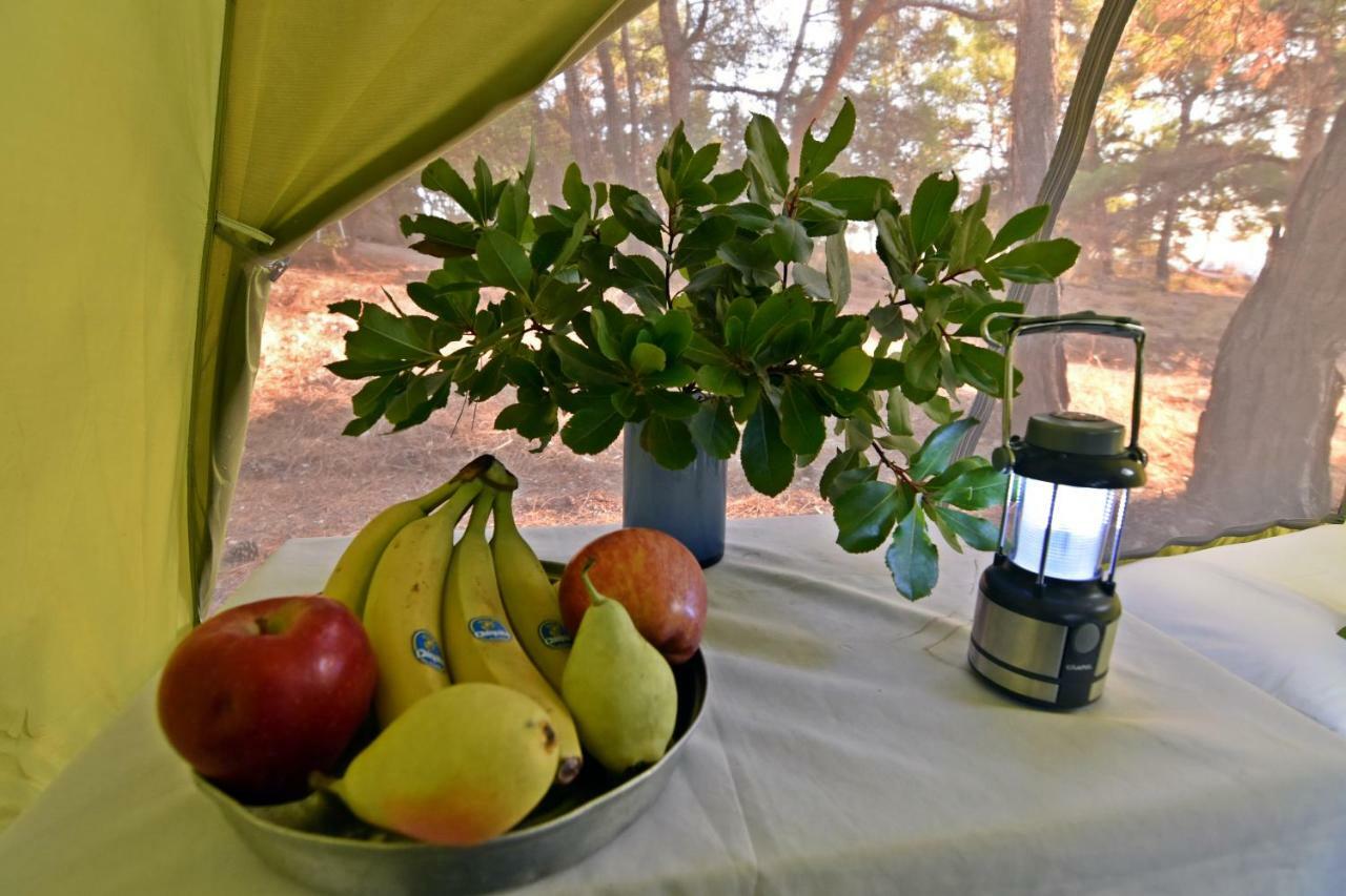 Drolma Ling Nature Cabins Theológos 외부 사진