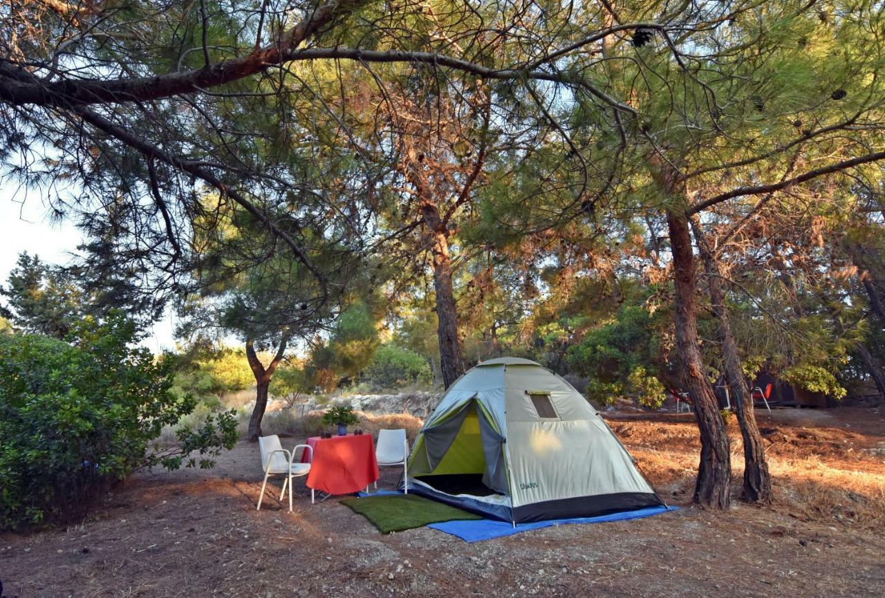 Drolma Ling Nature Cabins Theológos 외부 사진